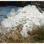 huewo-rover_2012-03-03_12-08-22_2399