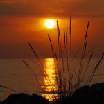 sommerlager_2012-07-04_20-30-22_0432