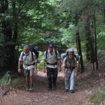 2012-08-31_09-52-42_leitertour