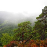 2012-08-31_16-44-48_leitertour