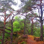 2012-08-31_16-45-06_leitertour
