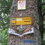 2012-09-01_12-22-30_leitertour