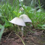 2012-09-01_19-49-02_leitertour