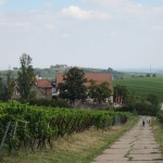 2012-09-02_13-45-35_leitertour