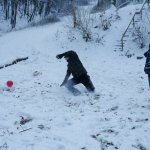 huewo-rover_2012-12-08_12-08-32_0777