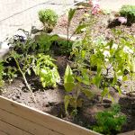 72-stunden-aktion_2013-06-16_11-57-08_0011