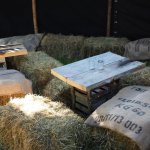 stammeslager_2015.05.14_07-39-22_0316