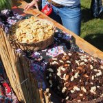 stammeslager_2015.05.14_11-01-34_0376