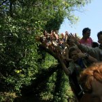 2017-07-19_14-11-56_Sommerlager-Jupfi-Jungs