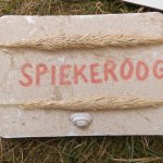 2017-08-07_16-01_sommerlager-pfadis_008