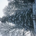 abschlusshuweo17_jupfimaedchen_043